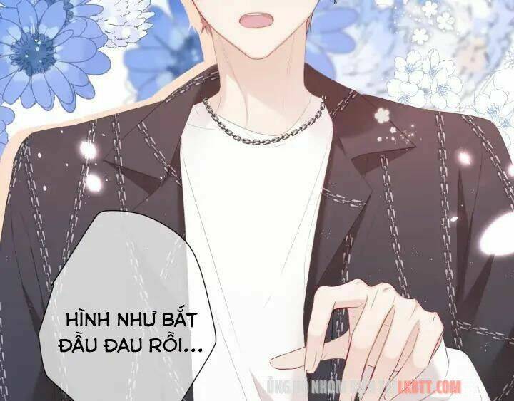 bảo vệ siêu sao của tôi chapter 49.1 - Trang 2